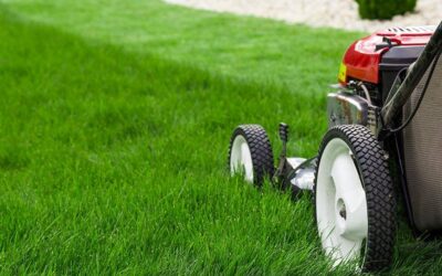 Overlapping Pattern: An ultimate guide for better lawn care.